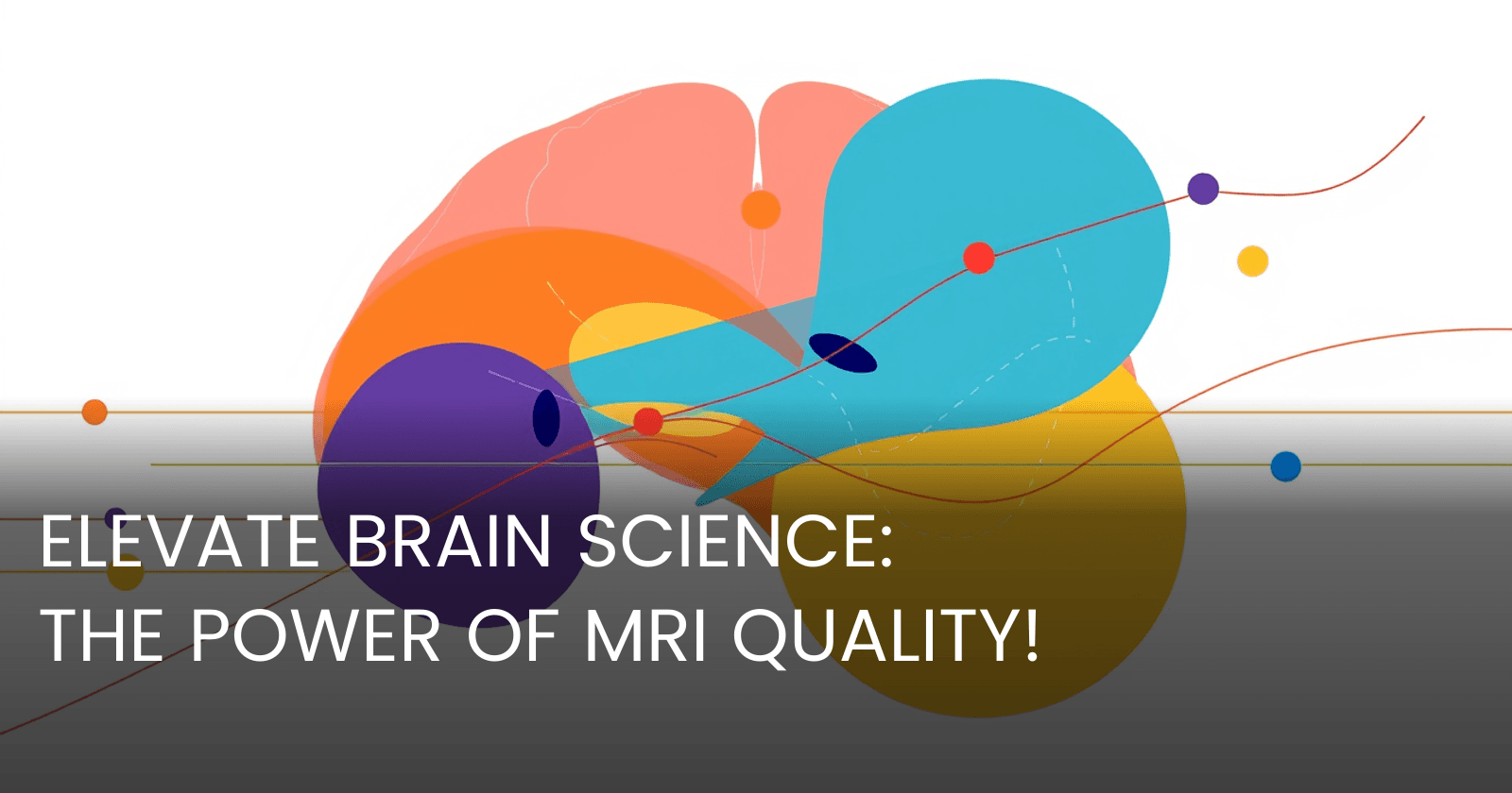 Understanding the Role of MRI Image Quality in Brain Analysis